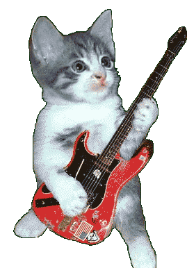 котик-playing-guitar.gif