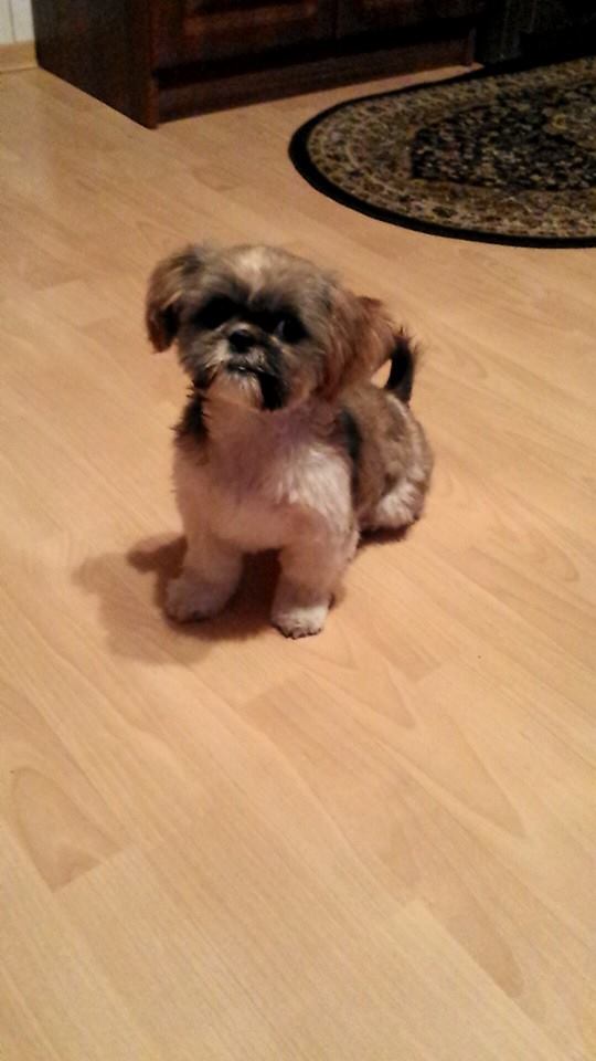 10387224_338136959690887_8197237996994569238_n (1).jpg