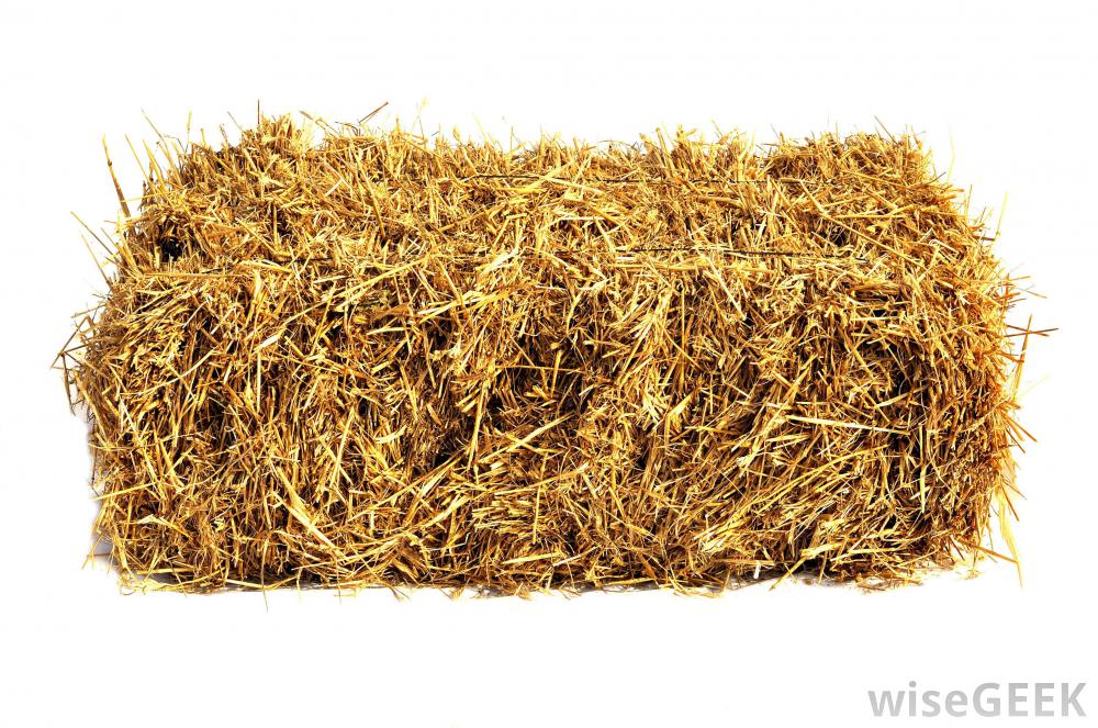 bale-of-hay.jpg
