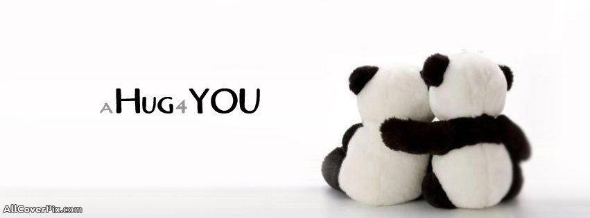 itm_cute-panda-hug-cover-photos-facebook2014-02-06_11-02-27_1.jpg