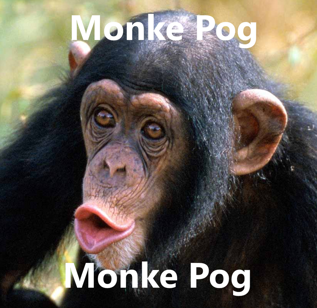 Monke_Pog.png