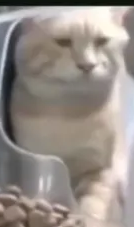 Näyttökuva 2024-11-16 143821.png