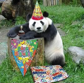 Panda-Celebrates.jpg