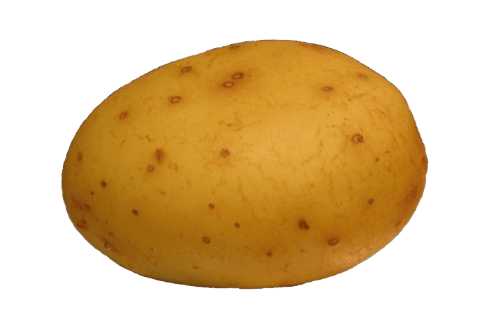 potato_PNG421.png