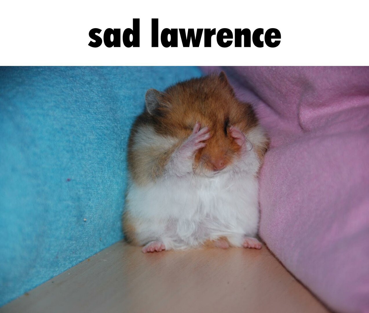 sad lawrence.jpg