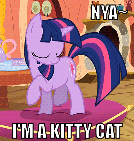 twilight+sparkle_animated_image+macro_cute_upvotes+galore_cat_spike+at+your+service_twilight+cat.gif