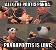 Pandapootis.JPG Pandapootis.JPG