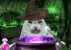 wizard seal.webp