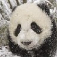 ᴿᴳJay .:[Unique Panda]:.