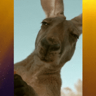 ✾ĎÈŠPÎÇÃBŁĒ Mé✾