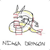 TheNiggaDragon