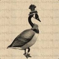 ♥Queen Daddy Duck♥ :3