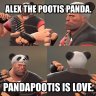 Alex The Panda Pootis