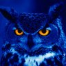 Night-Owl