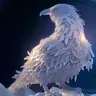 SnowwyRaven