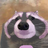 PinkRaccoon