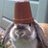 pot_head_wabbit