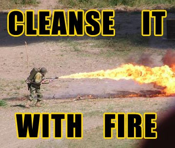 cleanse_with_fire.jpg